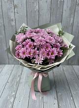 Букет цветов из:  Хризантемы в Поселок Зверосовхоза