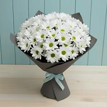 Букет цветов из:  Хризантемы в Поселок Зверосовхоза