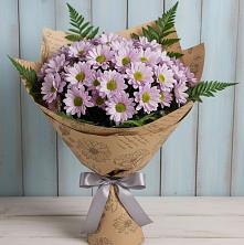 Букет цветов из:  Хризантемы в Поселок Зверосовхоза