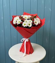 Букет цветов из:  Хризантемы в Поселок Зверосовхоза