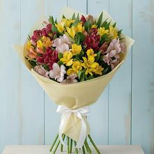 Букет цветов из:  Альстромерии в Поселок Зверосовхоза